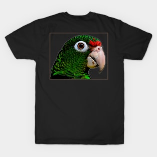 Parrot / Cotorra T-Shirt